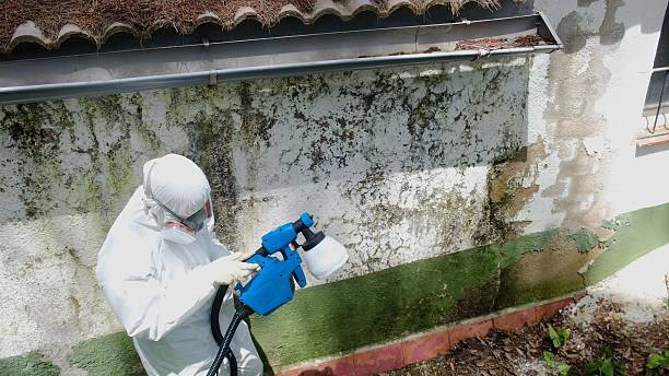 Trusted Attic Mold Removal service in Gardners, PA - Cheap Mold Removal